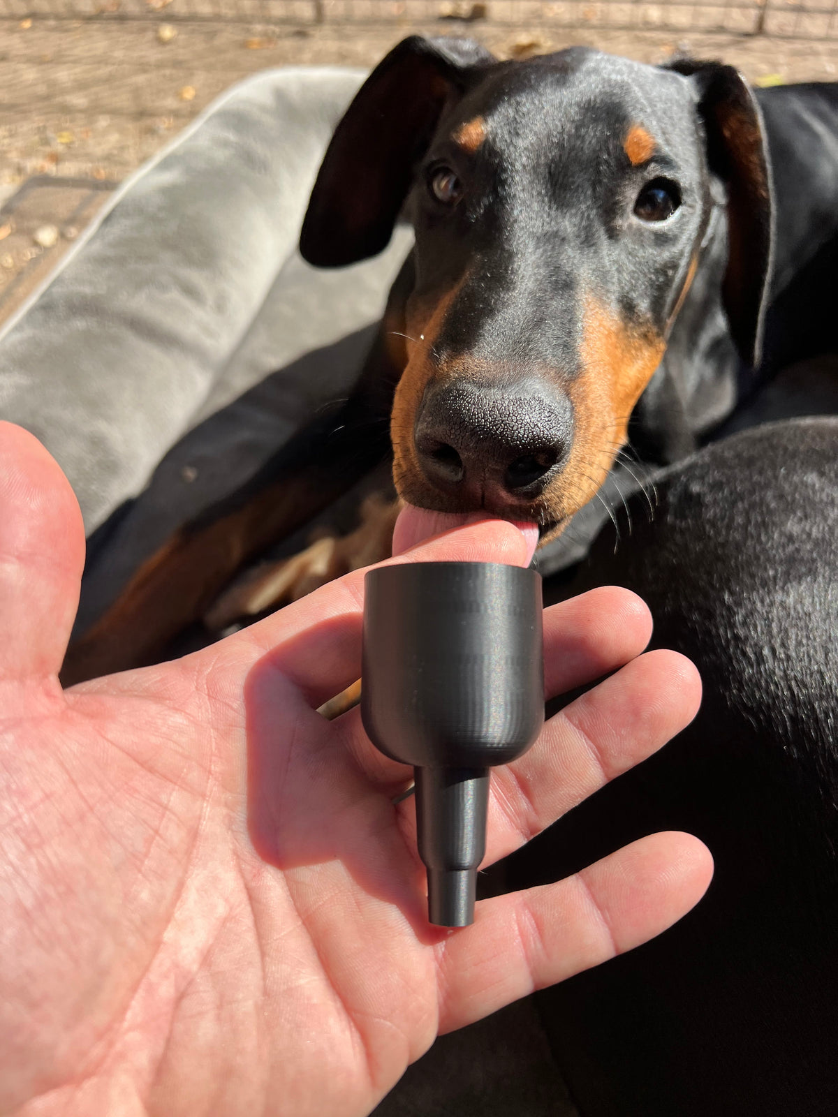 LayeredVisions3D 10/14 Double Funnel Default Headies Hideout