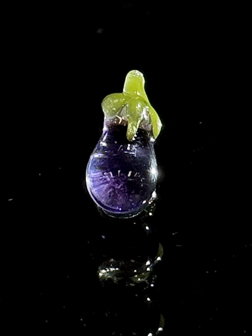 Abagail Baker Eggplant Pearl Default Headies Hideout