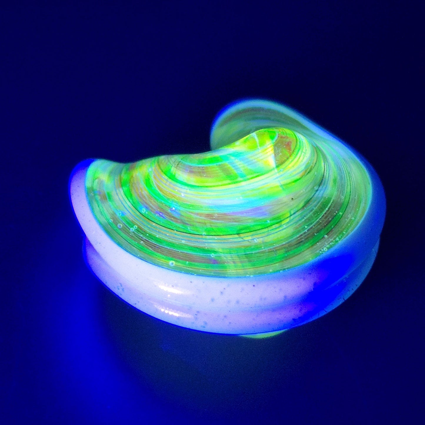 Shamby Glass x Dux Glass - Fortune Cookie Headie Glass Headies Hideout